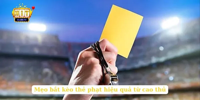 meo-bat-keo-the-phat-hieu-qua-tu-cao-thu