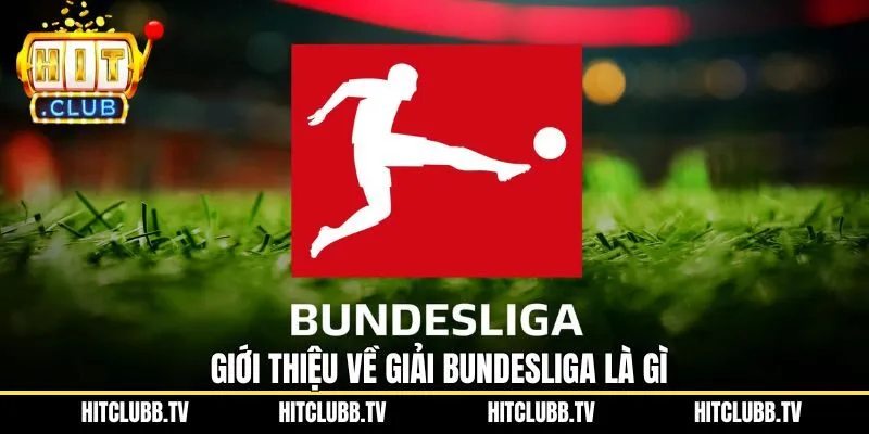 Một số thông tin trọng tâm về giải Bundesliga là gì 